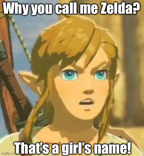 Offended Link | Why you call me Zelda? That’s a girl’s name! | image tagged in offended link | made w/ Imgflip meme maker