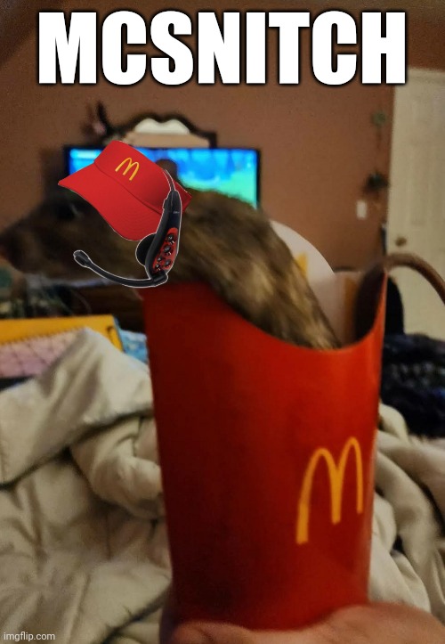 McSnitch | MCSNITCH | image tagged in mcsnitch,rats,mcdonalds,free luigi | made w/ Imgflip meme maker