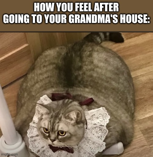 Going to Grandma's | HOW YOU FEEL AFTER GOING TO YOUR GRANDMA'S HOUSE: | image tagged in going to grandma's | made w/ Imgflip meme maker