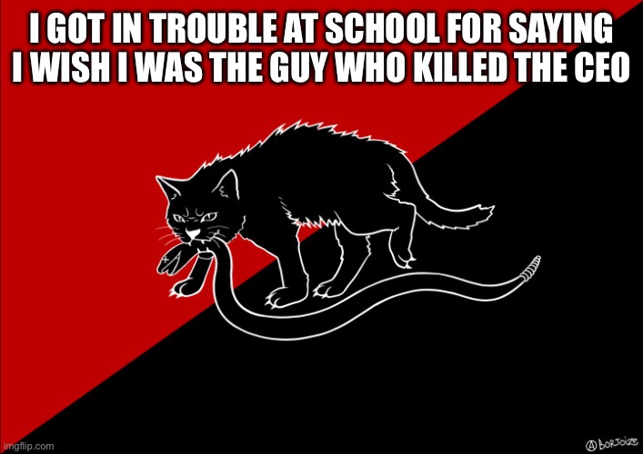 Sabo cat with snake | I GOT IN TROUBLE AT SCHOOL FOR SAYING I WISH I WAS THE GUY WHO KILLED THE CEO | image tagged in sabo cat with snake | made w/ Imgflip meme maker