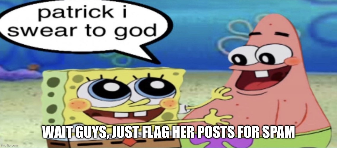 Remeber the stream mood! | WAIT GUYS, JUST FLAG HER POSTS FOR SPAM | image tagged in patrick i swear to god | made w/ Imgflip meme maker