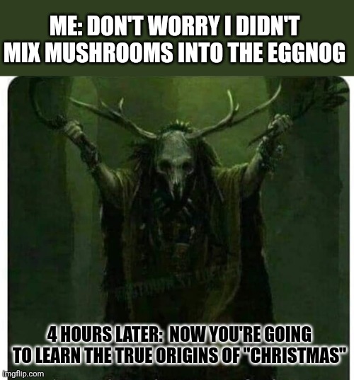 TIME TO LEARN | ME: DON'T WORRY I DIDN'T MIX MUSHROOMS INTO THE EGGNOG; 4 HOURS LATER:  NOW YOU'RE GOING TO LEARN THE TRUE ORIGINS OF "CHRISTMAS" | image tagged in christmas,pagan,eggnog | made w/ Imgflip meme maker