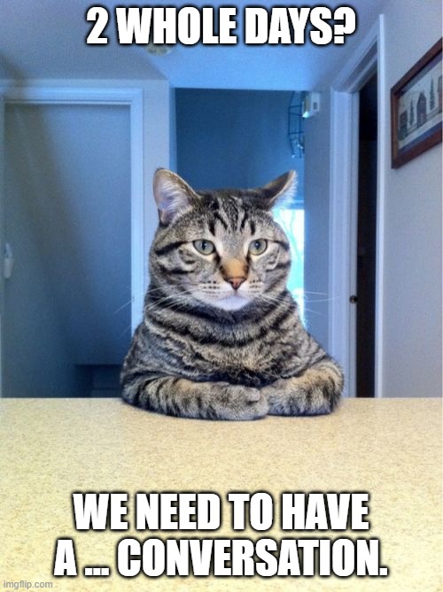 Take A Seat Cat Meme | 2 WHOLE DAYS? WE NEED TO HAVE A … CONVERSATION. | image tagged in memes,take a seat cat | made w/ Imgflip meme maker