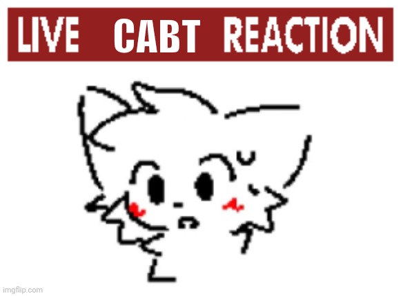 Live Cabt Reaction | CABT | image tagged in boykisser | made w/ Imgflip meme maker