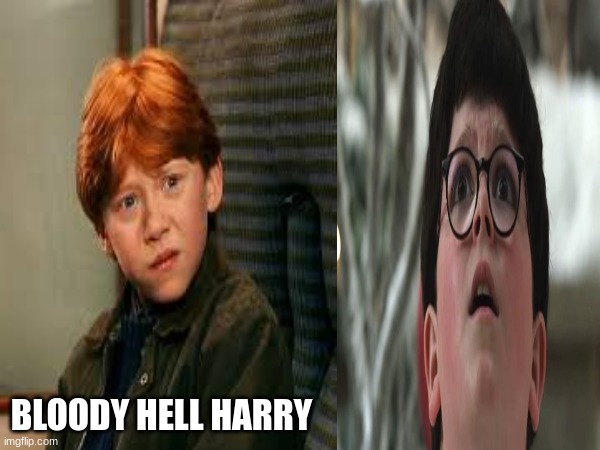 Archie Yates meme | BLOODY HELL HARRY | image tagged in memes,harry potter,home alone,bloody,hell | made w/ Imgflip meme maker