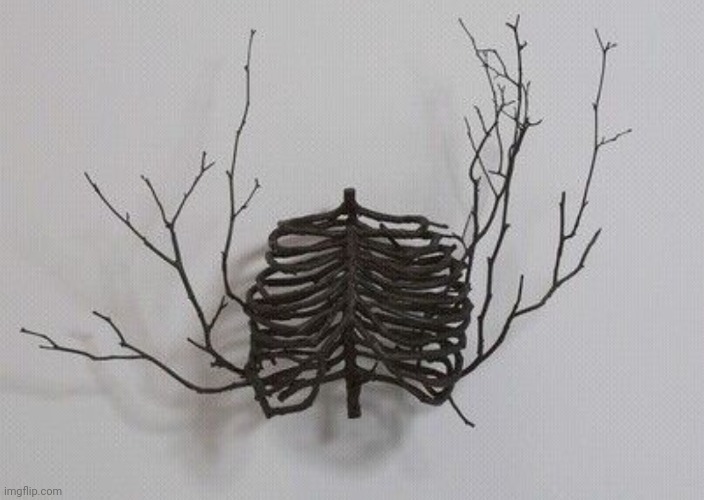 Twigs. | image tagged in twigs,nature,dark,bones,art,illusion | made w/ Imgflip meme maker