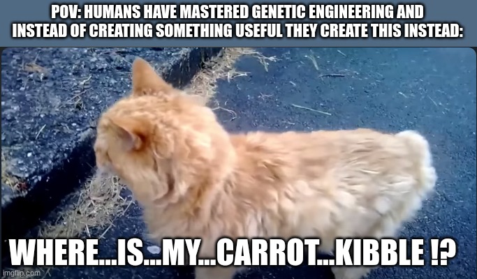 Genetic Engineering | POV: HUMANS HAVE MASTERED GENETIC ENGINEERING AND INSTEAD OF CREATING SOMETHING USEFUL THEY CREATE THIS INSTEAD:; WHERE...IS...MY...CARROT...KIBBLE !? | image tagged in genetic engineering | made w/ Imgflip meme maker