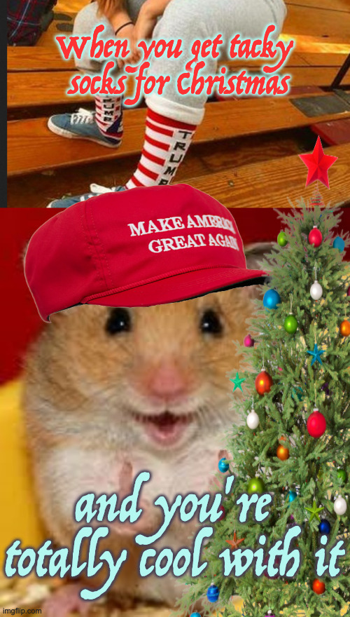 Tacky Socks | When you get tacky 
socks for Christmas; and you're totally cool with it | image tagged in socks,thumbs up hamster | made w/ Imgflip meme maker