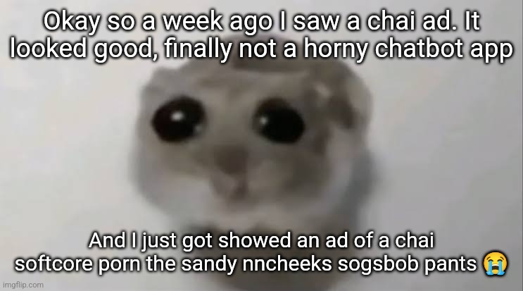 Sad Hamster | Okay so a week ago I saw a chai ad. It looked good, finally not a horny chatbot app; And I just got showed an ad of a chai softcore porn the sandy nncheeks sogsbob pants 😭 | image tagged in sad hamster | made w/ Imgflip meme maker