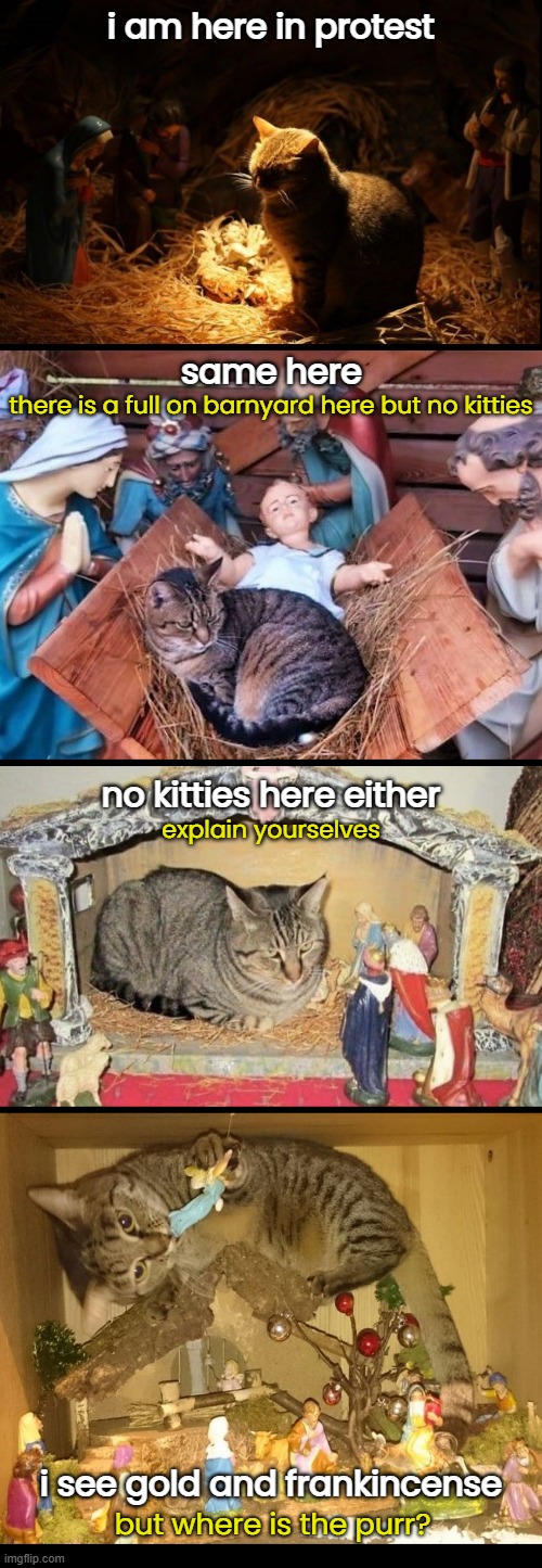 Uh-Oh! Cats are feeling under-represented in nativity scenes. | i am here in protest; same here; there is a full on barnyard here but no kitties; no kitties here either; explain yourselves; i see gold and frankincense; but where is the purr? | image tagged in funny memes,christmas,nativity | made w/ Imgflip meme maker