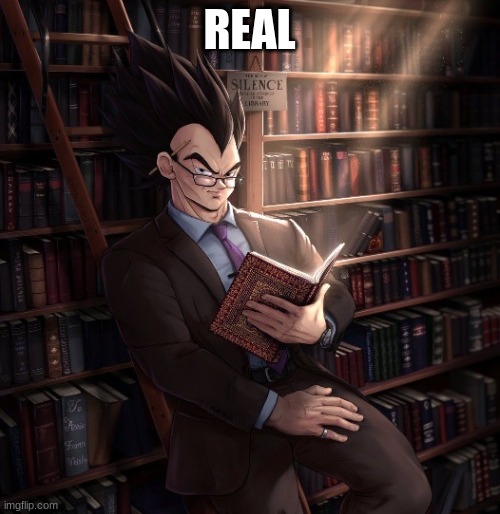 Vegeta reading a book meme | REAL | image tagged in vegeta reading a book meme | made w/ Imgflip meme maker