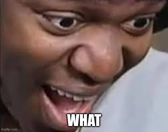 ksi face | WHAT | image tagged in ksi face | made w/ Imgflip meme maker