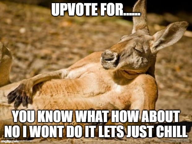 :) | UPVOTE FOR...... YOU KNOW WHAT HOW ABOUT NO I WONT DO IT LETS JUST CHILL | image tagged in chillin kangaroo | made w/ Imgflip meme maker