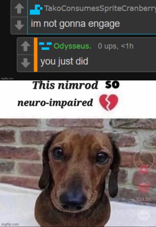 image tagged in this nimrod so neuro-impaired | made w/ Imgflip meme maker