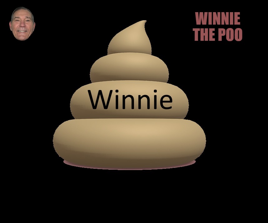 Winnie the poo | WINNIE THE POO | image tagged in poo,poop,kewlew | made w/ Imgflip meme maker