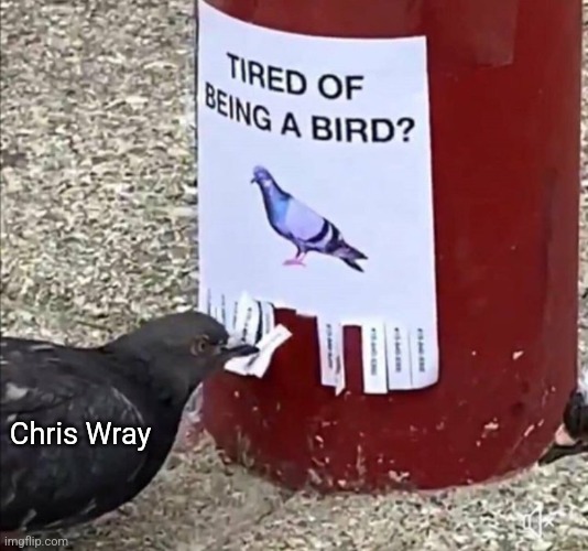 Chris Wray | image tagged in fbi investigation | made w/ Imgflip meme maker