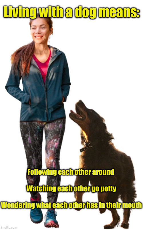 What it means to be a dog owner | Living with a dog means:; Following each other around 
 
Watching each other go potty
 
Wondering what each other has in their mouth | image tagged in dog owner,pets | made w/ Imgflip meme maker