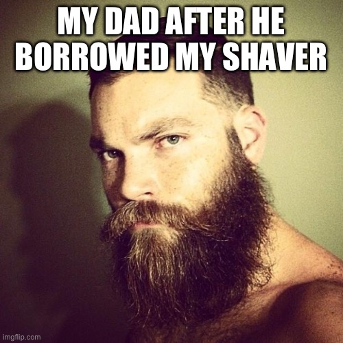 Yeah… | MY DAD AFTER HE BORROWED MY SHAVER | image tagged in beard | made w/ Imgflip meme maker