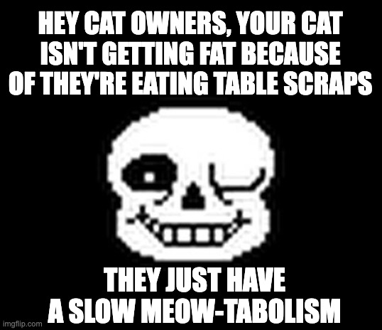 Meow Meow | HEY CAT OWNERS, YOUR CAT ISN'T GETTING FAT BECAUSE OF THEY'RE EATING TABLE SCRAPS; THEY JUST HAVE A SLOW MEOW-TABOLISM | image tagged in sans the memy skeleton,cat,pun,meowtabolism,comedy,funny | made w/ Imgflip meme maker