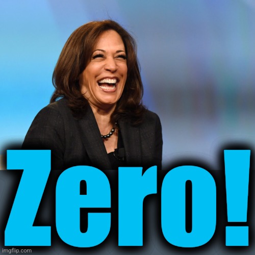 Kamala Harris laughing | Zero! | image tagged in kamala harris laughing | made w/ Imgflip meme maker