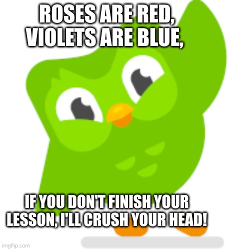 Duolingo memes | ROSES ARE RED, VIOLETS ARE BLUE, IF YOU DON'T FINISH YOUR LESSON, I'LL CRUSH YOUR HEAD! | image tagged in duolingo memes | made w/ Imgflip meme maker