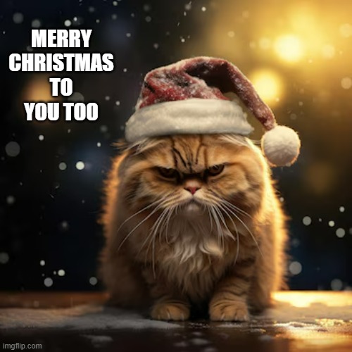 memes by Brad - Grumpy cat say Merry Christmas to you too | MERRY CHRISTMAS TO YOU TOO | image tagged in cats,kittens,grumpy cat,merry christmas,funny,santa claus | made w/ Imgflip meme maker