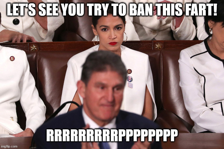 AOC, Fart Warrior! | LET'S SEE YOU TRY TO BAN THIS FART! RRRRRRRRRPPPPPPPP | image tagged in aoc,fart,memes,trump,democrat,smelly | made w/ Imgflip meme maker