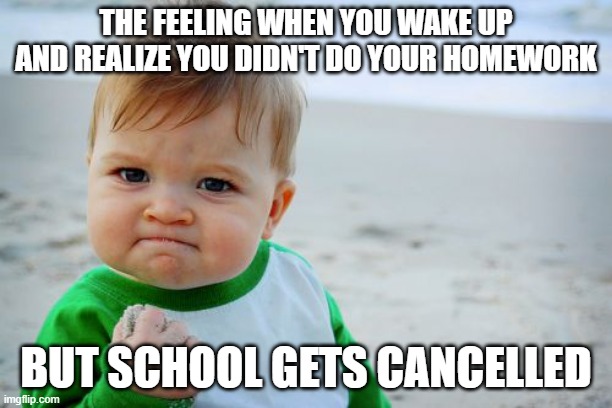 Best Feeling | THE FEELING WHEN YOU WAKE UP AND REALIZE YOU DIDN'T DO YOUR HOMEWORK; BUT SCHOOL GETS CANCELLED | image tagged in memes,success kid original | made w/ Imgflip meme maker