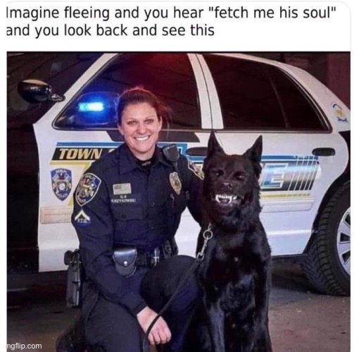 Modern police | image tagged in memes | made w/ Imgflip meme maker