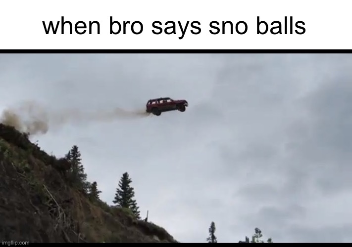 Car jumps off a clif | when bro says sno balls | image tagged in car jumps off a clif | made w/ Imgflip meme maker