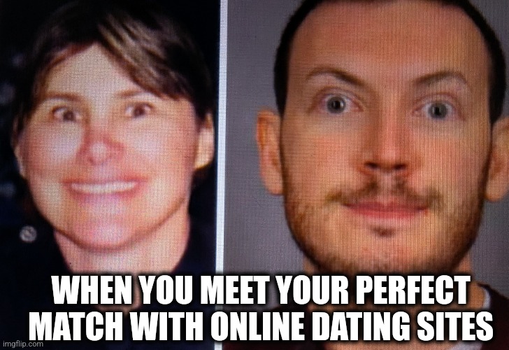 Online match | WHEN YOU MEET YOUR PERFECT MATCH WITH ONLINE DATING SITES | image tagged in memes | made w/ Imgflip meme maker