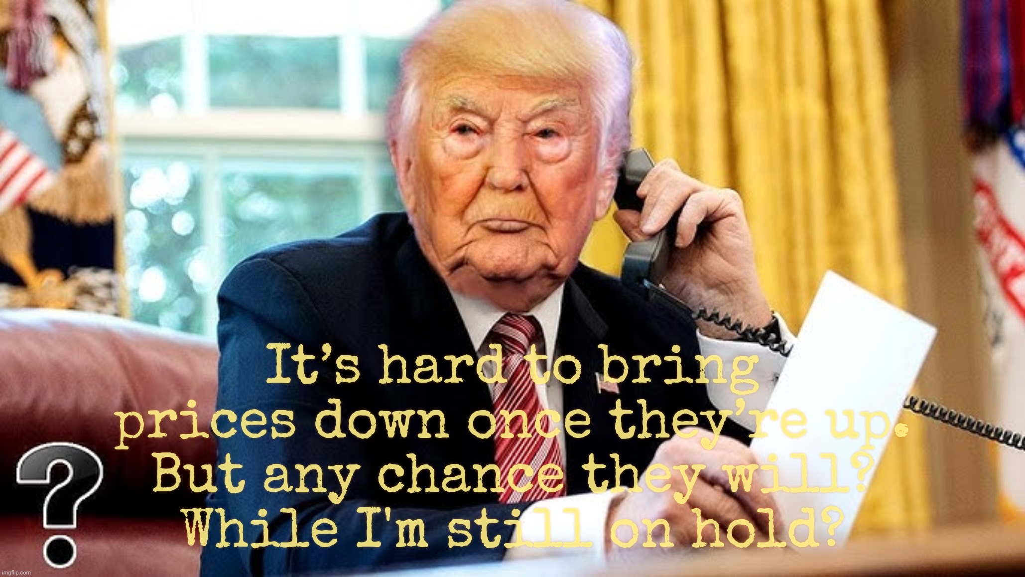 No worries, he'll blame it on Obama anyways,,, | It’s hard to bring prices down once they’re up.
But any chance they will?
While I'm still on hold? | image tagged in trump,another broken campaign promise,before the term even begins,now prices won't go down on day one,it's very hard,sad | made w/ Imgflip meme maker