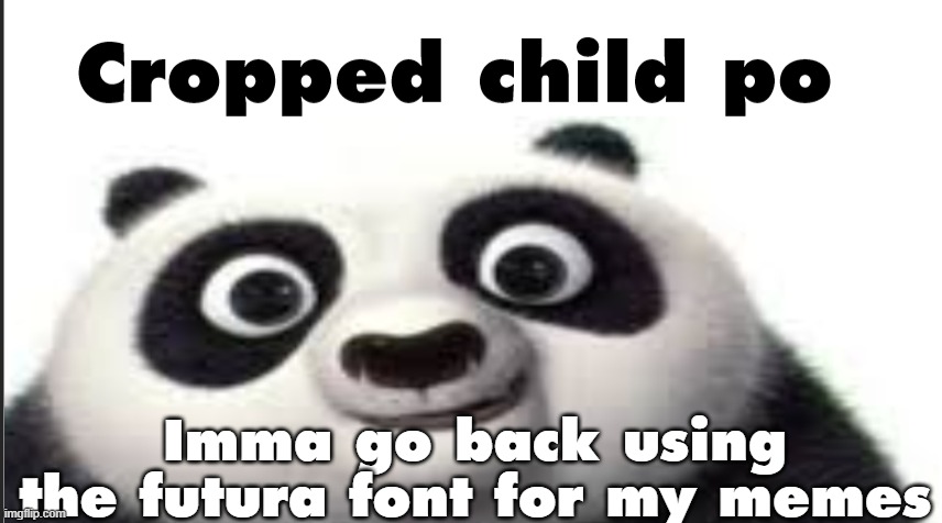 Cropped child po | Imma go back using the futura font for my memes | image tagged in cropped child po | made w/ Imgflip meme maker