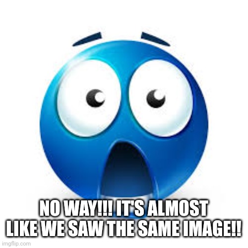 Shocked blue guy | NO WAY!!! IT'S ALMOST LIKE WE SAW THE SAME IMAGE!! | image tagged in shocked blue guy | made w/ Imgflip meme maker