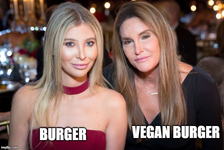 Vegan Burger | VEGAN BURGER; BURGER | image tagged in vegan,meat | made w/ Imgflip meme maker