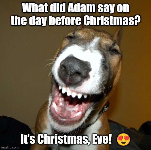 Christmas Eve Dog Lol | What did Adam say on the day before Christmas? It’s Christmas, Eve!  😍 | image tagged in laughing dog,christmas,funny,dog,lol | made w/ Imgflip meme maker