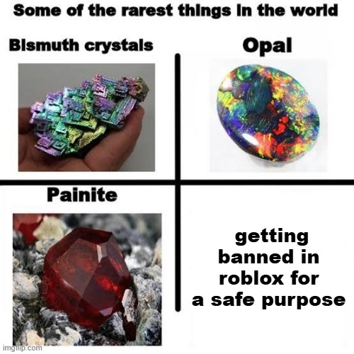 Some of the rarest things in the world | getting banned in roblox for a safe purpose | image tagged in some of the rarest things in the world | made w/ Imgflip meme maker