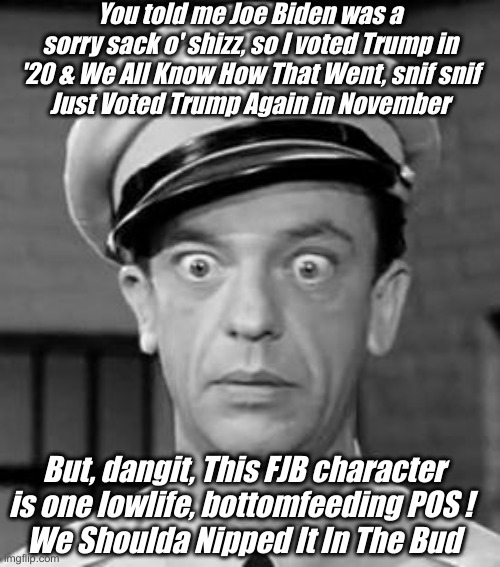 Jan 20th ! | You told me Joe Biden was a sorry sack o' shizz, so I voted Trump in '20 & We All Know How That Went, snif snif
Just Voted Trump Again in November; But, dangit, This FJB character is one lowlife, bottomfeeding POS ! 
We Shoulda Nipped It In The Bud | image tagged in barney fife,political meme,politics,funny memes,funny | made w/ Imgflip meme maker