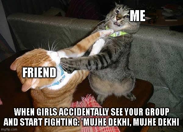 Two cats fighting for real | ME; FRIEND; WHEN GIRLS ACCIDENTALLY SEE YOUR GROUP AND START FIGHTING: 'MUJHE DEKHI, MUJHE DEKHI | image tagged in two cats fighting for real | made w/ Imgflip meme maker