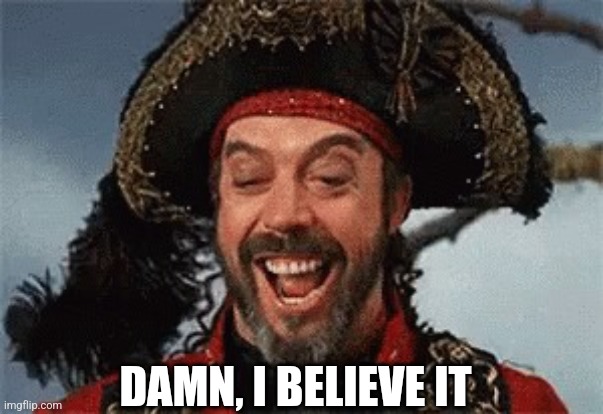 TIM CURRY PIRATE | DAMN, I BELIEVE IT | image tagged in tim curry pirate | made w/ Imgflip meme maker