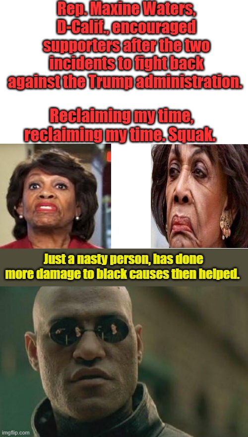 I wonder where MAX is ,she hasn't been featured on MSM in quite awhile?She head of finance her hub owns a bank. conflict anyone? | Rep. Maxine Waters, D-Calif., encouraged supporters after the two incidents to fight back against the Trump administration. Reclaiming my time, reclaiming my time. Squak. Just a nasty person, has done more damage to black causes then helped. | image tagged in memes,blank transparent square,matrix morpheus | made w/ Imgflip meme maker