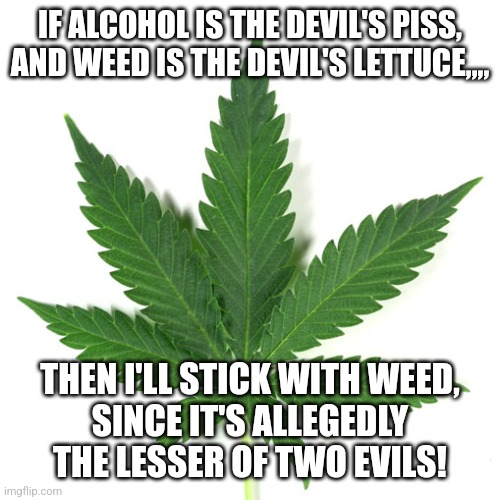 Marijuana leaf | IF ALCOHOL IS THE DEVIL'S PISS,
AND WEED IS THE DEVIL'S LETTUCE,,,, THEN I'LL STICK WITH WEED,
SINCE IT'S ALLEGEDLY THE LESSER OF TWO EVILS! | image tagged in marijuana leaf | made w/ Imgflip meme maker