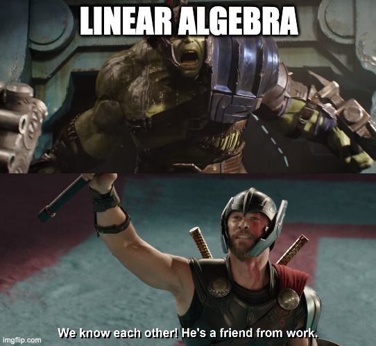 He's a friend from work | LINEAR ALGEBRA | image tagged in he's a friend from work | made w/ Imgflip meme maker