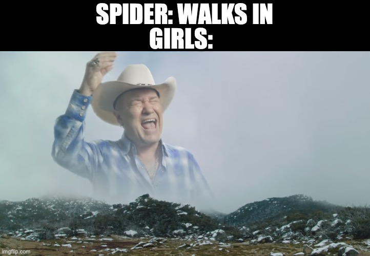 AAAAAAAAAAAAAAAAAAAAAAAAAAAAAAAAAAAAAAAAAAAA | GIRLS:; SPIDER: WALKS IN | image tagged in is it big enough,screaming,girls,spiders,bugs | made w/ Imgflip meme maker