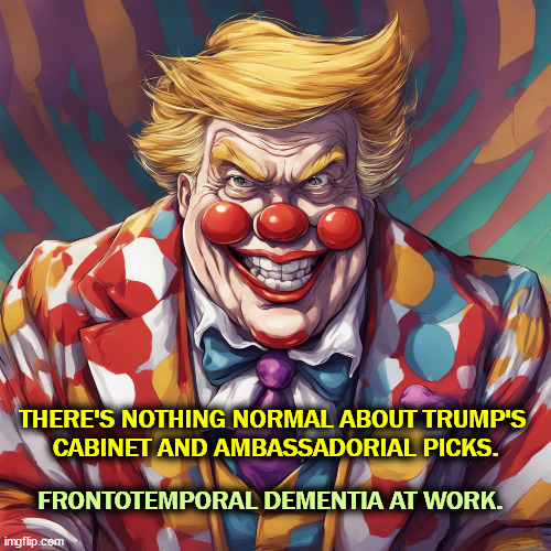 Everything Trump touches dies. | THERE'S NOTHING NORMAL ABOUT TRUMP'S 
CABINET AND AMBASSADORIAL PICKS. FRONTOTEMPORAL DEMENTIA AT WORK. | image tagged in trump,trump cabinet,ambassador,crazy,insane,dementia | made w/ Imgflip meme maker