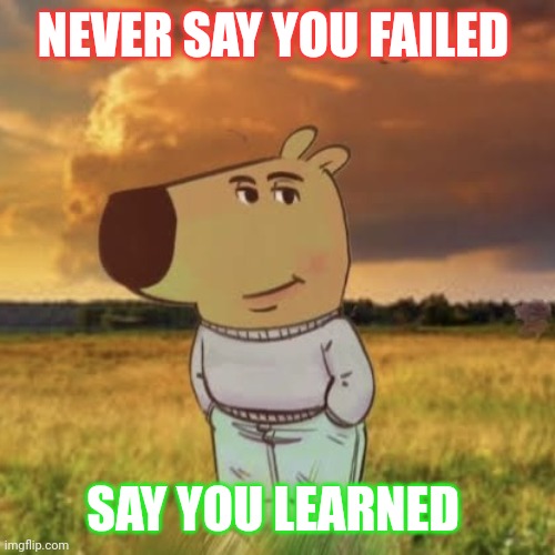 :) | NEVER SAY YOU FAILED; SAY YOU LEARNED | image tagged in chill guy | made w/ Imgflip meme maker