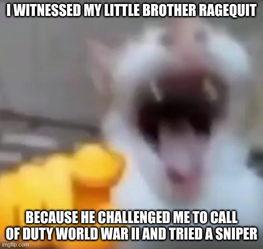 Yes, he is Gen Alpha, no, he is not experienced, yes, he doesn't know how to HOLD a controller, yes, I am good at COD:WWII | I WITNESSED MY LITTLE BROTHER RAGEQUIT; BECAUSE HE CHALLENGED ME TO CALL OF DUTY WORLD WAR II AND TRIED A SNIPER | image tagged in cat pointing and laughing | made w/ Imgflip meme maker