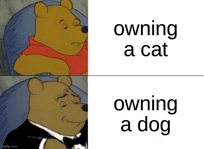 free epic Shottsuru | owning a cat; owning a dog | image tagged in memes,tuxedo winnie the pooh | made w/ Imgflip meme maker