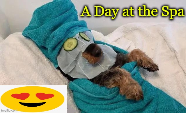 You go girl | A Day at the Spa | image tagged in spa day,dog heaven,get your nails done,jack sparrow being chased,dog day out,relax | made w/ Imgflip meme maker