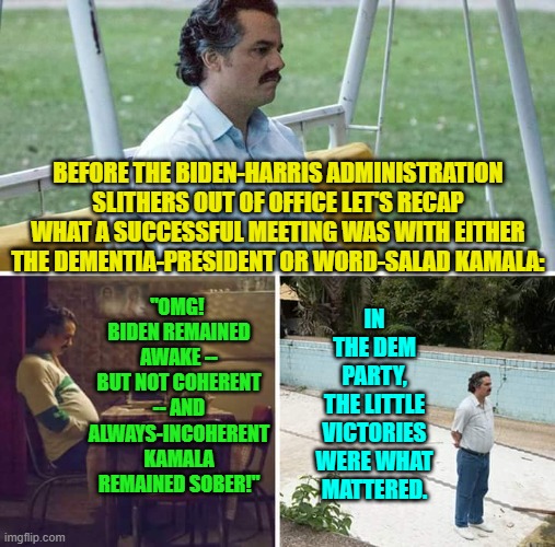 Being an administration staffer must have been a never-ending nightmare. | "OMG!  BIDEN REMAINED AWAKE -- BUT NOT COHERENT -- AND ALWAYS-INCOHERENT KAMALA REMAINED SOBER!"; IN THE DEM PARTY, THE LITTLE VICTORIES WERE WHAT MATTERED. BEFORE THE BIDEN-HARRIS ADMINISTRATION SLITHERS OUT OF OFFICE LET'S RECAP WHAT A SUCCESSFUL MEETING WAS WITH EITHER THE DEMENTIA-PRESIDENT OR WORD-SALAD KAMALA: | image tagged in sad pablo escobar | made w/ Imgflip meme maker